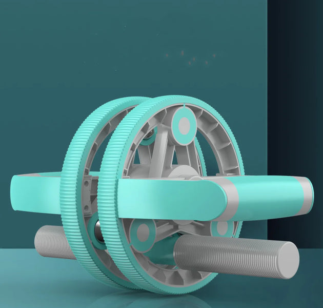 Home Gym Ab Wheel Combo